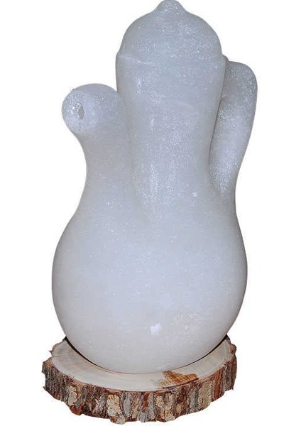 Ibrik Şekilli Doğal Kaya Tuzu Lambası Çankırı Kablolu Ampullü Beyaz 5-7 kg modelleri