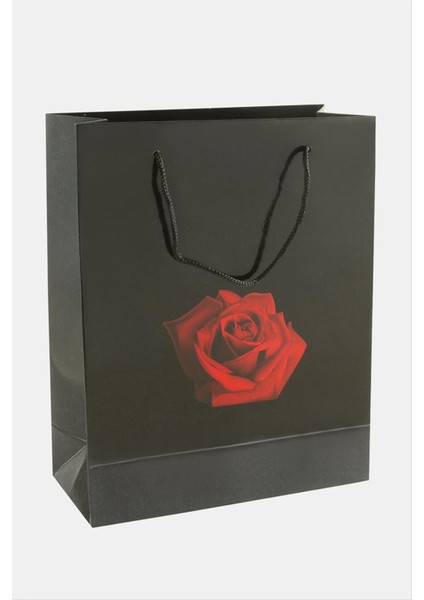Ds-Derin 20X25 Gül Ipli Karton Çanta 1 Adet-Siyah