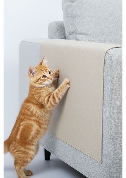 Kedi Koltuk Tırmalama Koruyucu Keçe Halı 40X50CM Bej Yapışkanlı Mobilya Tırmalama Önleyici Koruma Halısı fiyatları