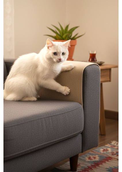 Kedi Koltuk Tırmalama Koruyucu Keçe Halı 40X50CM Bej Yapışkanlı Mobilya Tırmalama Önleyici Koruma Halısı fırsatları