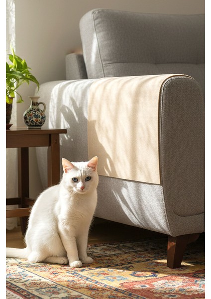 Kedi Koltuk Tırmalama Koruyucu Keçe Halı 40X50CM Bej Yapışkanlı Mobilya Tırmalama Önleyici Koruma Halısı