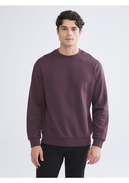 Yeni Sezon Bisiklet Yaka Erkek Sweatshirt