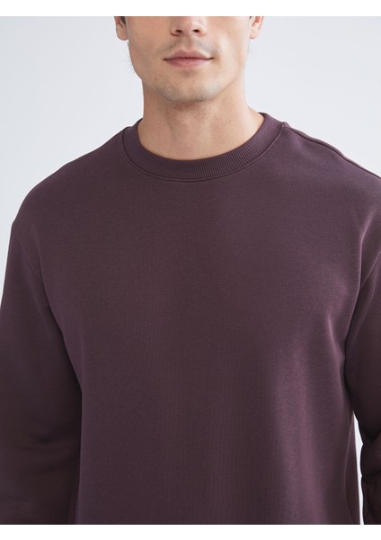 Yeni Sezon Bisiklet Yaka Erkek Sweatshirt modelleri