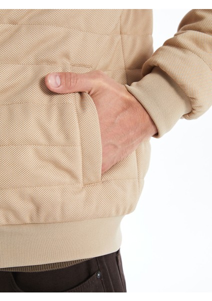 Yeni Sezon Slim Fit Dik Yaka Erkek Mont modelleri