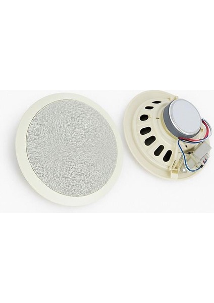 Dexun D-20T 100 Volt 20 cm Trafolu Alçıpan Hoparlör