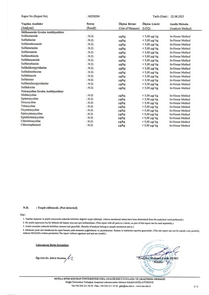 Doğal Çörek Otu Balı | 500GR fırsatları