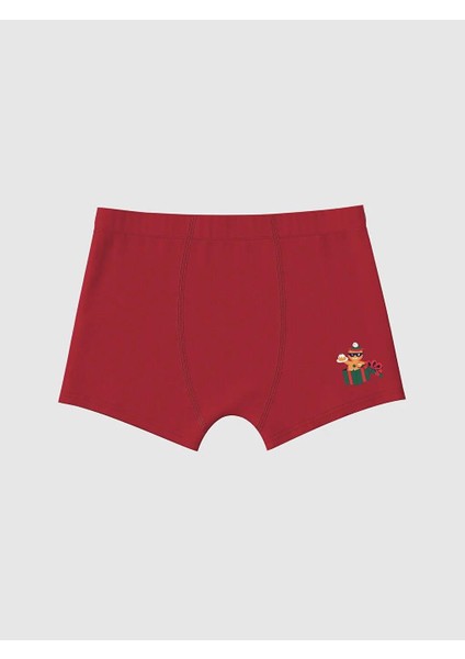 Yılbaşı Temalı Erkek Çocuk Boxer 3'lü (W5) indirimleri
