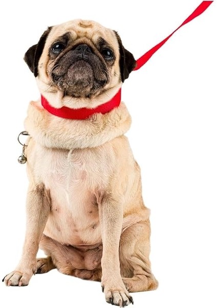 Köpek Tasması Köpek Gezdirme Ayarlanabilir Boyun Tasması Kırmızı 8682874802205