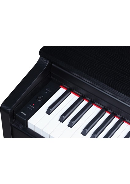 D820 Dijital Piyano – 88 Tuş Hammer Action - Tabure Hediye indirimleri