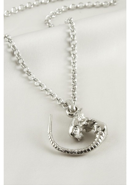 Ds-Derin Canavar Erkek Kolye-Gümüş Rengi fiyatları