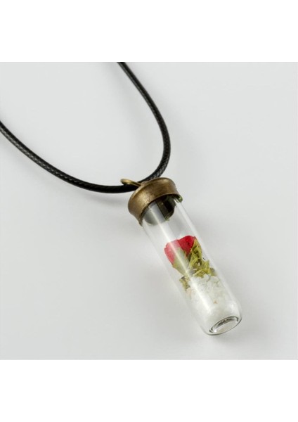 Ds-Derin Gül Fanus Canlı Kolye-Siyah fiyatları