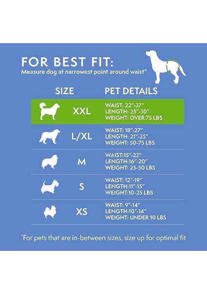 Simple Solution True Fit Tek Kullanımlık Köpek Bezi | Islaklık Göstergeli Süper Emici | Xxl | 12 Adet indirimleri