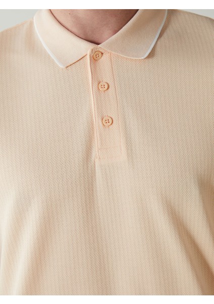 Yeni Sezon Polo Yaka Kısa Kollu Erkek Tişört modelleri