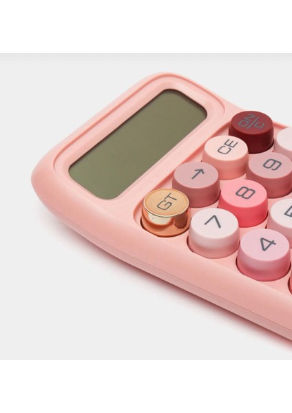 Pastel Tonlarda Pembe Renkli 12 Haneli Hesap Makinesi fırsatları
