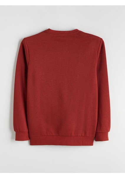 Yeni Sezon Bisiklet Yaka Erkek Sweatshirt fiyatları