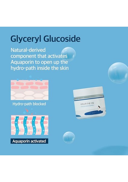 Birch Juice Moisturizing Cream 80 ml (The Coconut Cosmetics) fiyatları