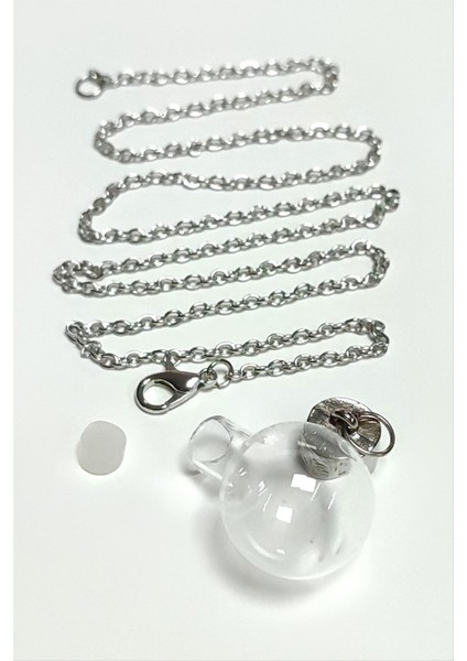 Ds-Derin Metal Kapaklı Boş Fanus Canlı Kolye-Gümüş Rengi fiyatları