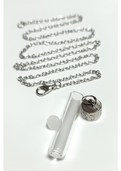 Ds-Derin Metal Kapaklı Boş Fanus Canlı Kolye-Gümüş Rengi fırsatları