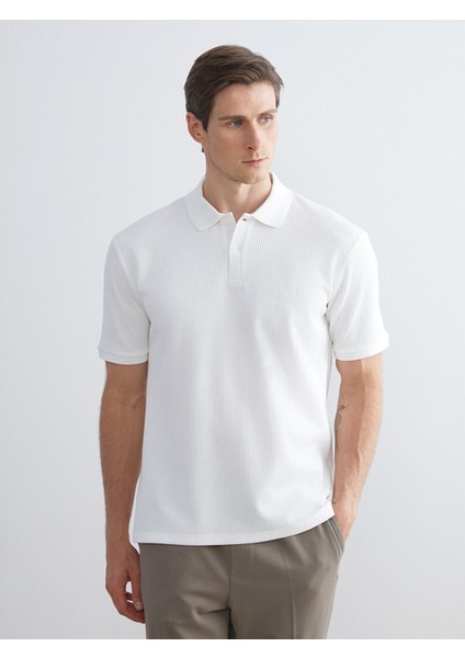 Yeni Sezon Polo Yaka Erkek Tişört