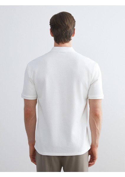 Yeni Sezon Polo Yaka Erkek Tişört fırsatları