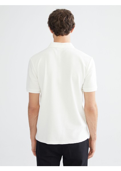 Yeni Sezon Polo Yaka Erkek Tişört fırsatları