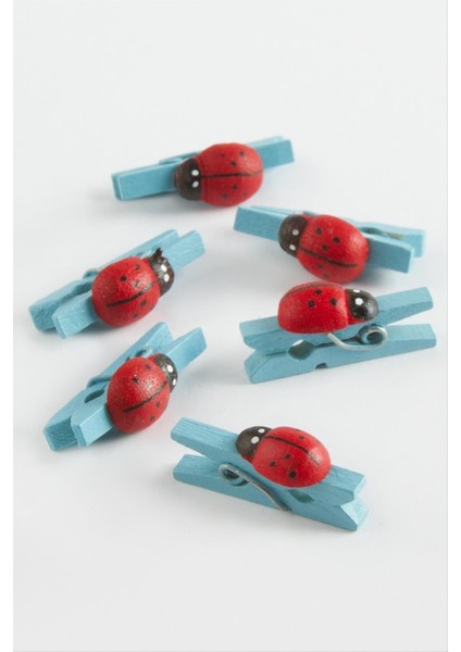 Ds-Derin 1 Adet Uğur Böceği Süs Mandal-Mavi