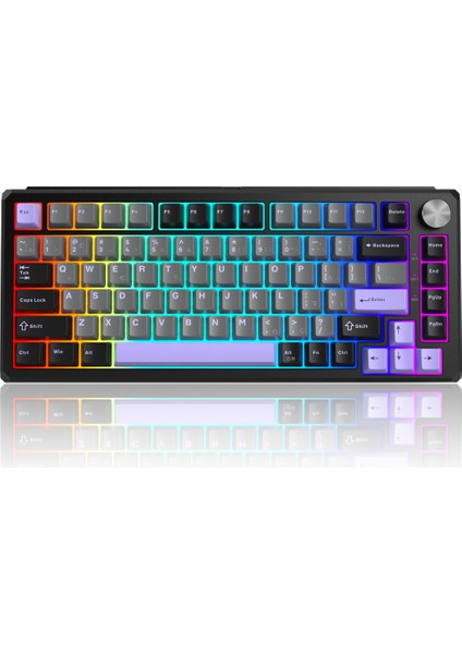 CAPTAIN75 82 Tuş Kablosuz Manyetik Rgb Hot-Swap Gasket Siyah Gaming Klavye fiyatları