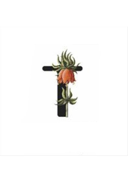 Ds-Derin Harf Figürlü Kaktüs Sukulent Saksısı-T