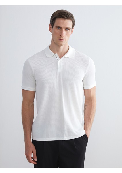 Yeni Sezon Polo Yaka Çizgili Erkek Tişört