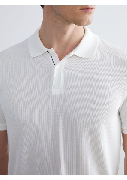 Yeni Sezon Polo Yaka Çizgili Erkek Tişört modelleri