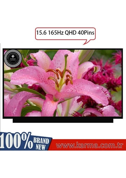 Asus Rog Strix G15 G513IH-HN002A17 LCD Ekran, Panel 2560X1440P - 165Hz