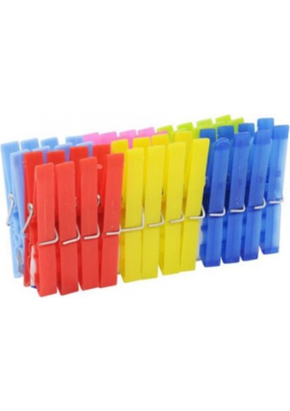 Plastik Filiz Mandal 24 Parça (4915)