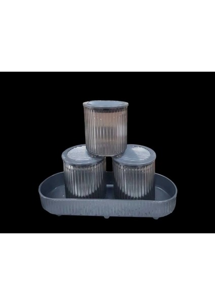 Salta 4 Parça Büyük Mutfak Baharat Seti ROYALEKS-EMN3120