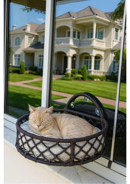 Kedi ve Köpek El Örgüsü Vantuzlu Cam Yatağı, Kedi Hamağı Antrasit