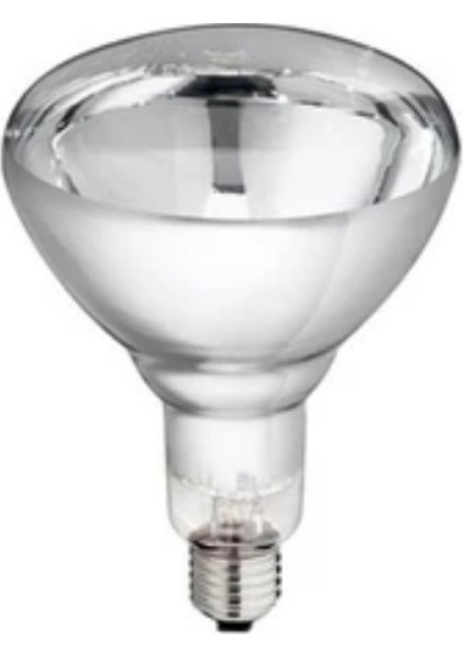 5 Adet 375 Watt Şeffaf Cam Infrared Isıtıcı Ampul Lamba 1 Adet Porselen Duy Hediye