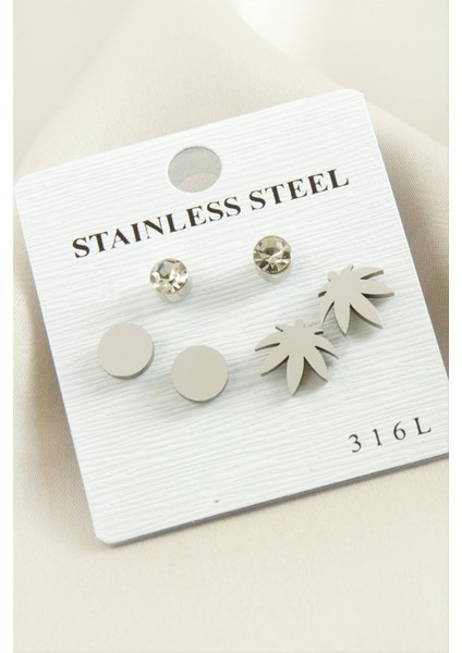 Ds-Derin 6 Adet Yaprak Taşlı Çelik Küpe-Gümüş Rengi fiyatları