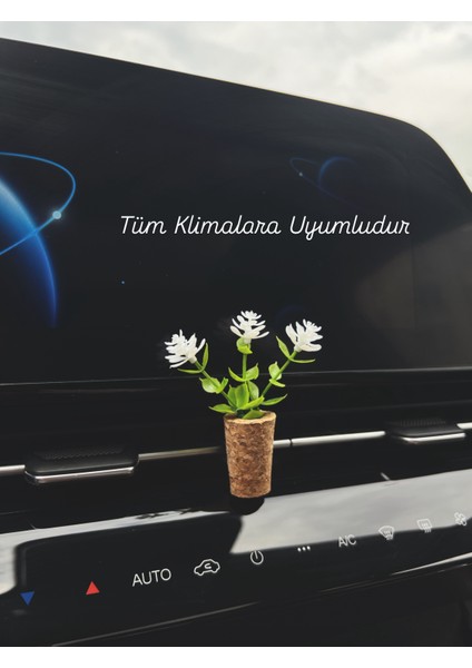 Dekoratif Mini Araç Oto Kokusu | El Yapımı Mantar Saksı Çiçek Klima Süsü | Difüzör Klipsli Beyaz indirimleri