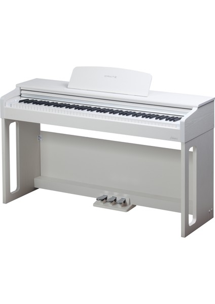D820 Dijital Piyano – 88 Tuş Hammer Action - Tabure Hediye