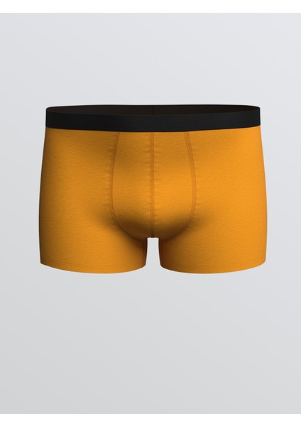 Yeni Sezon Standart Kalıp Pamuklu Esnek Erkek Boxer 3'lü modelleri