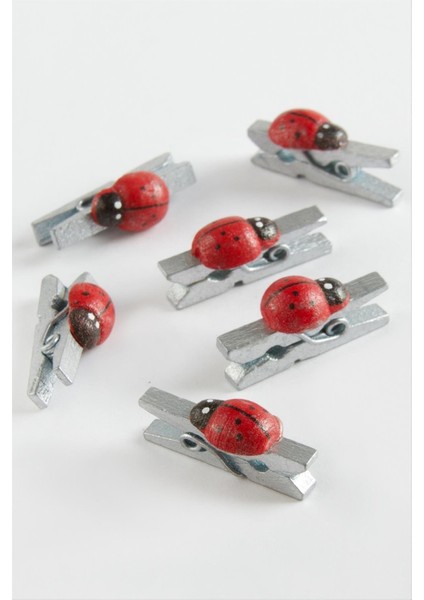 Ds-Derin 1 Adet Uğur Böceği Süs Mandal-Gri