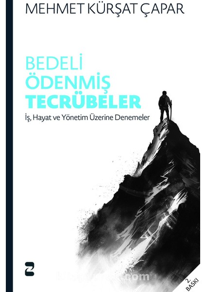 Bedeli Ödenmiş Tecrübeler Iş, Hayat ve Yönetim Üzerine Denemeler