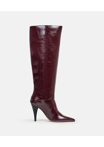 Topuklu Sivri Burun Çizme IW6250035013035
