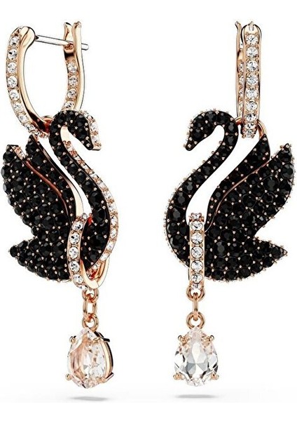 5678047 Swarovski Küpe Swan:pe RC06/ROS