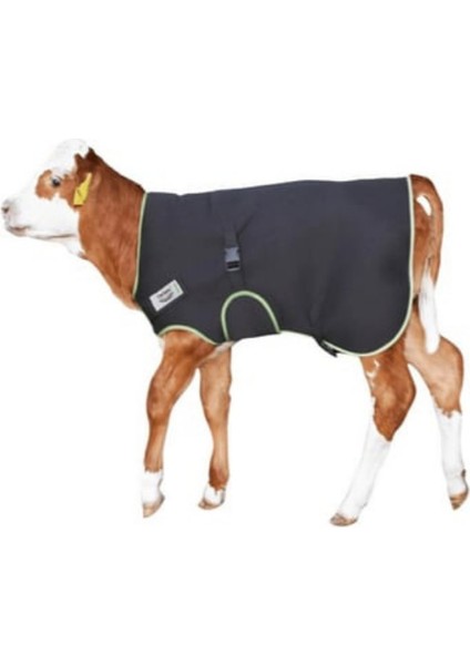 Dedeks Buzağı Battaniyesi Premium