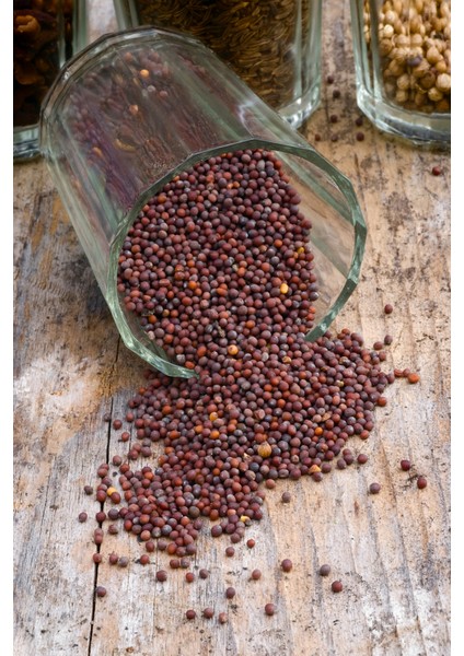 Siyah Hardal Tohumu Deluxe Seri Organik Lezzetli 300 gr modelleri