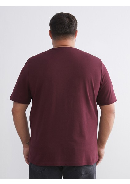 Yeni Sezon Büyük Beden Basic Penye Erkek Tişört fırsatları