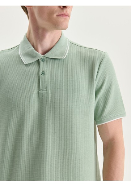 Yeni Sezon Polo Yaka Erkek Dokulu Tişört modelleri