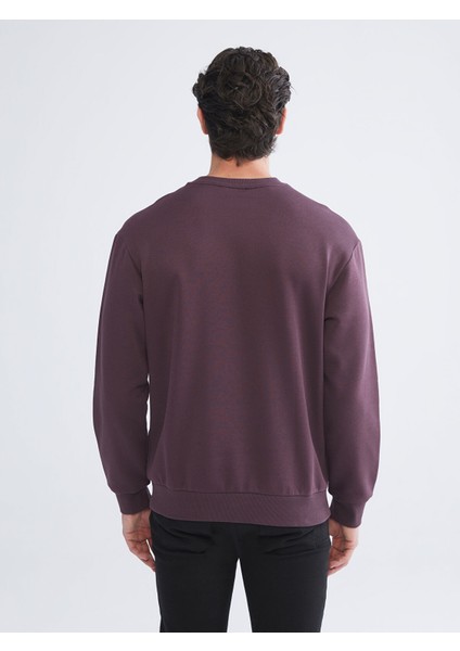 Yeni Sezon Bisiklet Yaka Erkek Sweatshirt fırsatları