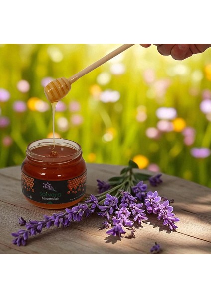 Doğal Lavanta Balı | 500GR fiyatları