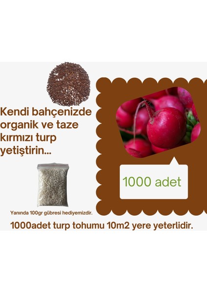 1000 Adet Iri Kırmızı Turp + 100GR Gübre